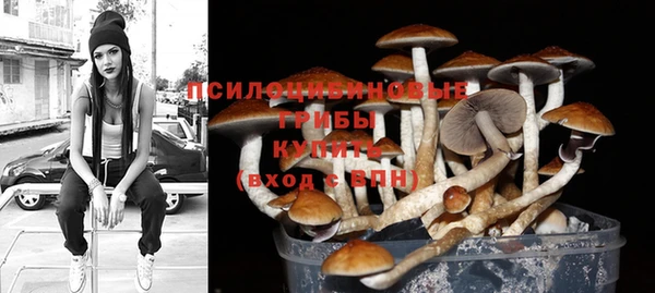 молекула духа Новодвинск