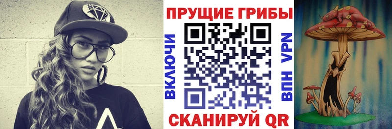 Галлюциногенные грибы Psilocybe  Шимановск 